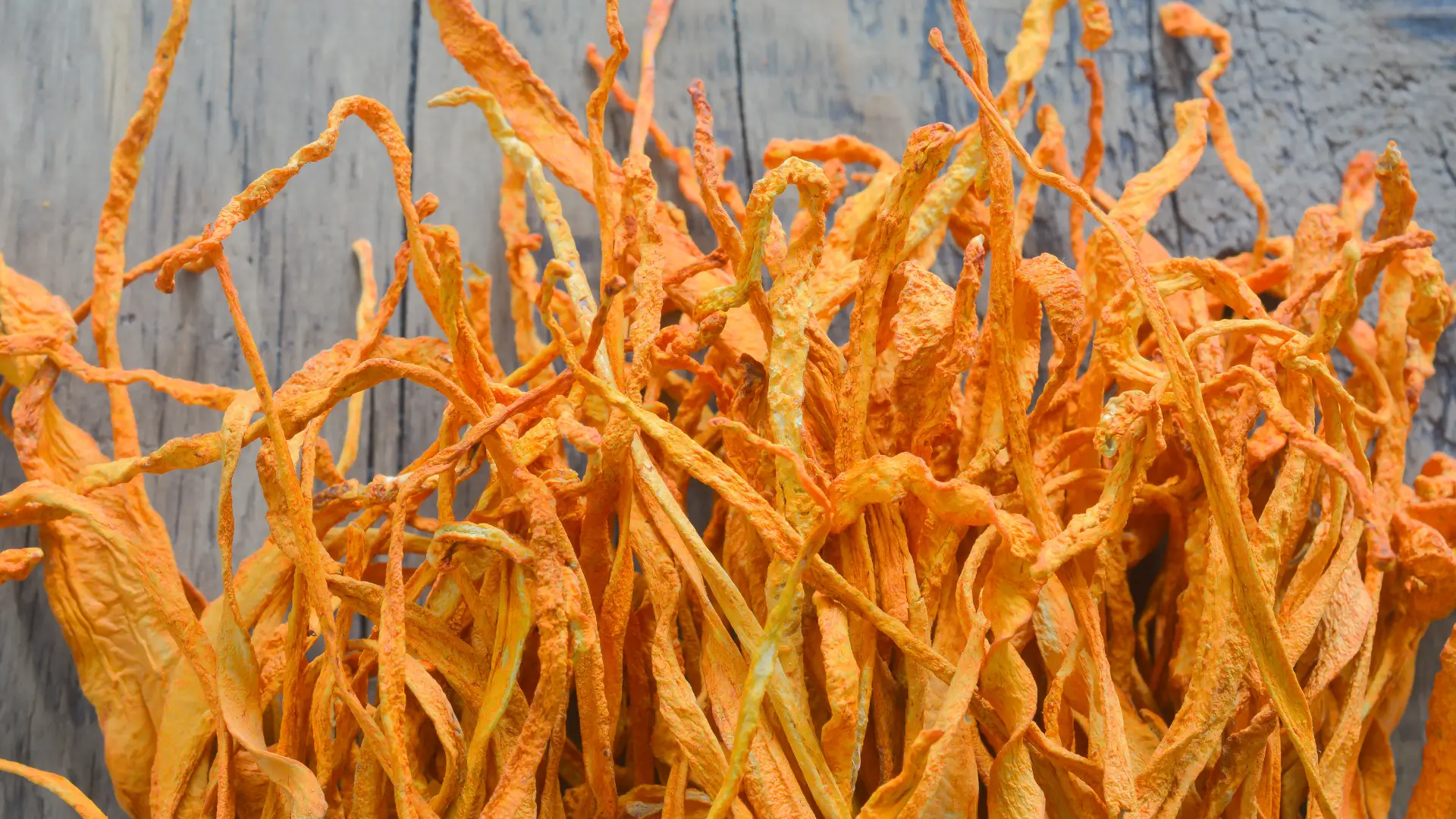 A technical analysis of Cordyceps sinensis vs Militaris for supplement formulators