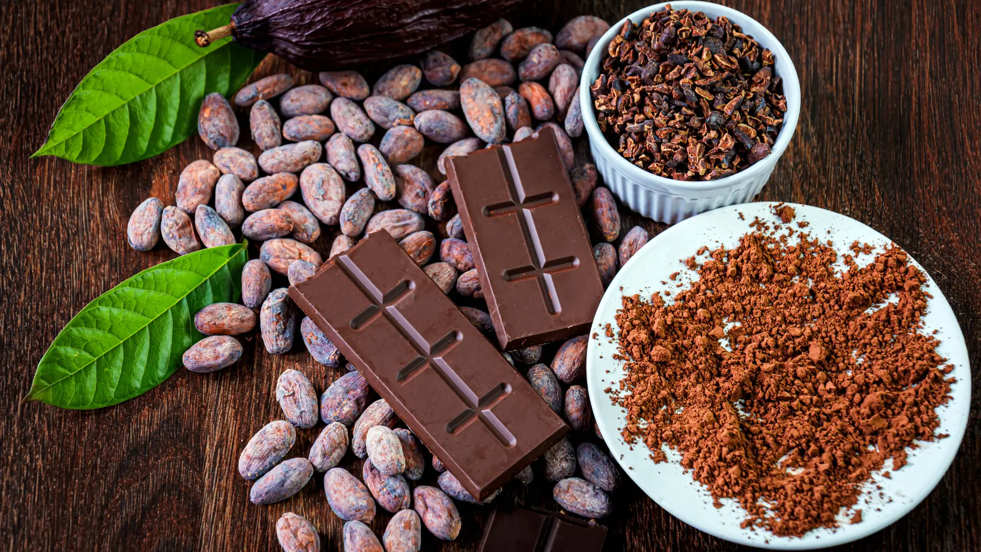 Premium roasted cocoa nibs wholesale raw material for industrial bakery and confectionery